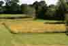 Cornfield in Early Autumn