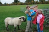 Young Guests Helping With Feeding